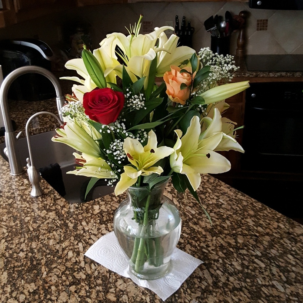 Meet your Posher, Shirley